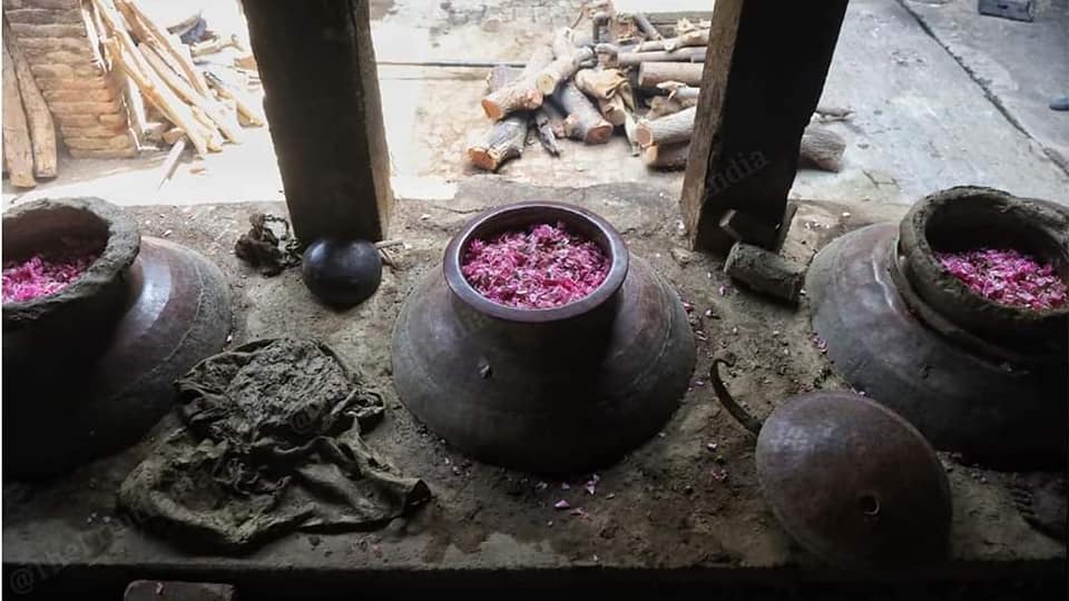 india flower 03