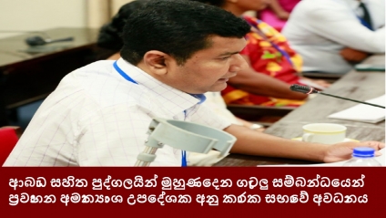 ආබාධ සහිත පුද්ගලයින් මුහුණදෙන ගැටලු සම්බන්ධයෙන් ප්‍රවාහන අමාත්‍යාංශ උපදේශක අනු කාරක සභාවේ අවධානය