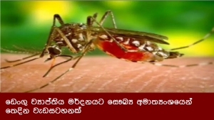 ඩෙංගු ව්‍යාප්තිය මර්දනයට සෞඛ්‍ය අමාත්‍යංශයෙන් තෙදින වැඩසටහනක්