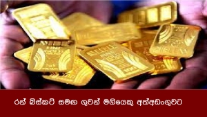 රන් බිස්කට් සමඟ ගුවන් මගියෙකු අත්අඩංගුවට ගෙන ඇත.