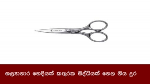 ශල්‍යාගාර හෙදියක් කතුරක සිද්ධියක් ගෙන ගිය දුර