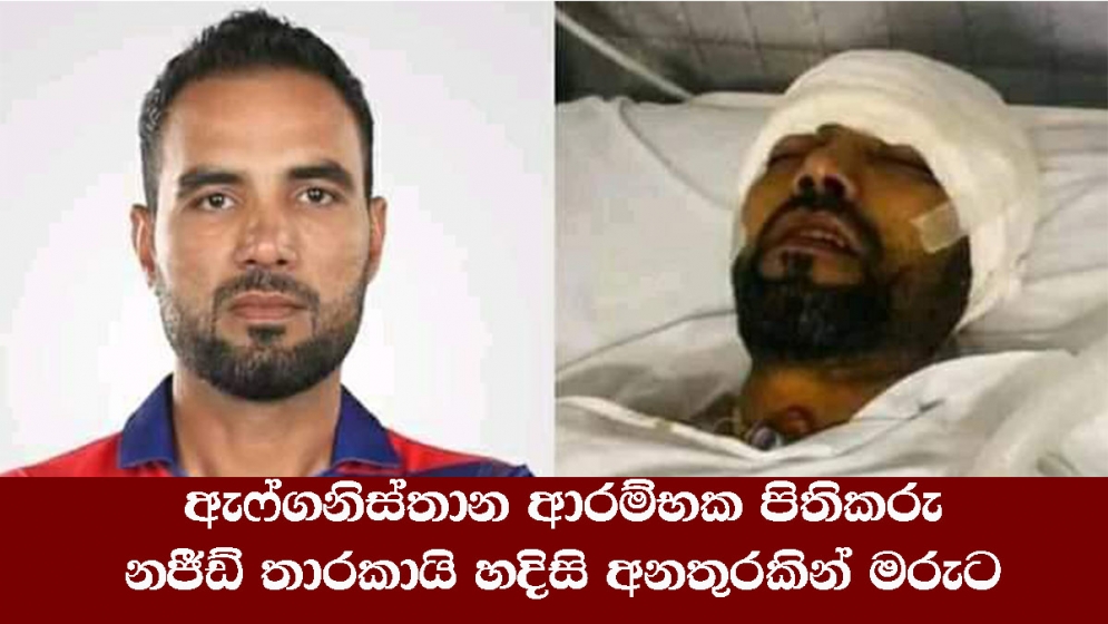 ඇෆ්ගනිස්තාන ආරම්භක පිතිකරු නජීඩ් තාරකායි හදිසි අනතුරකින් මරුට