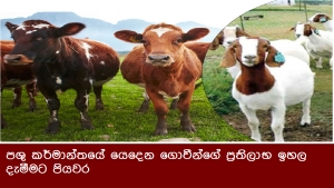 පශු කර්මාන්තයේ යෙදෙන ගොවීන්ගේ ප්‍රතිලාභ ඉහල දැමීමට පියවර
