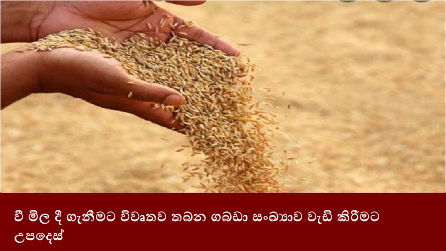 වී මිල දී ගැනීමට විවෘතව තබන ගබඩා සංඛ්‍යාව වැඩි කිරීමට උපදෙස්