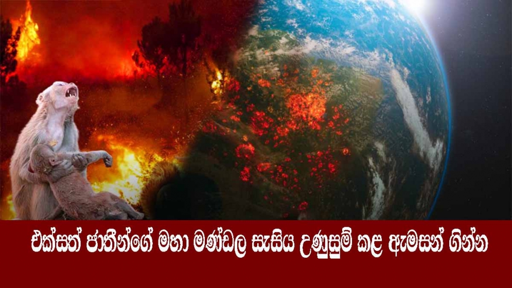 එක්සත් ජාතීන්ගේ මහාමණ්ඩල සැසිය උණුසුම් කළ “ඇමසන්” ගින්න