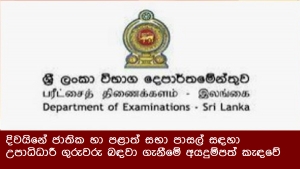 දිවයිනේ ජාතික හා පළාත් සභා පාසල් සඳහා උපාධිධාරී ගුරුවරු බඳවා ගැනීමේ අයදුම්පත් කැඳවේ