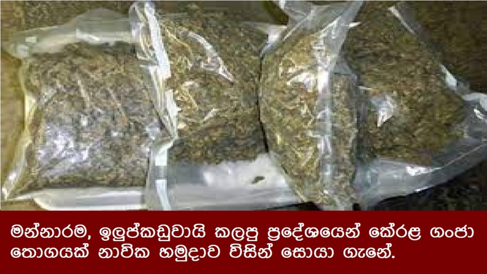 මන්නාරම, ඉලුප්කඩුවායි කලපු ප්‍රදේශයෙන් කේරළ ගංජා තොගයක් නාවික හමුදාව විසින් සොයා ගැනේ.