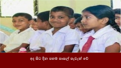 අද සිට දින පහම පාසල් පැවැත් වේ