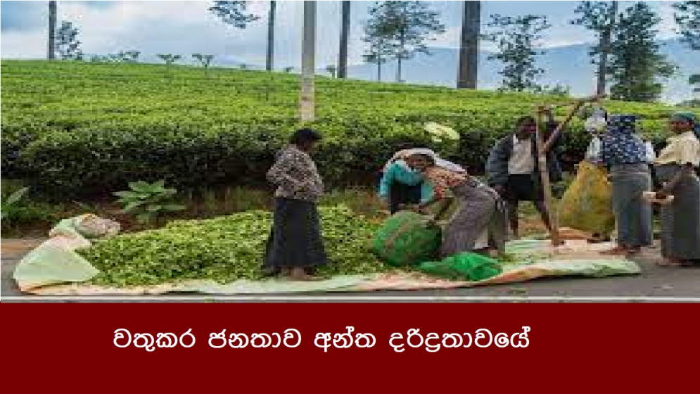 වතුකර ජනතාව අන්ත දරිද්‍රතාවයේ