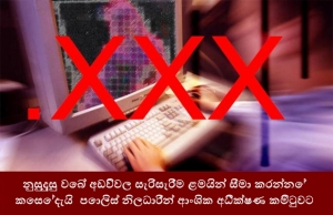 නුසුදුසු වෙබ් අඩවිවල සැරිසැරීම ළමයින් සීමා කරන්නේ කෙසේදැයි පොලිස් නිලධාරීන් ආංශික අධීක්ෂණ කමිටුවට පවසති.